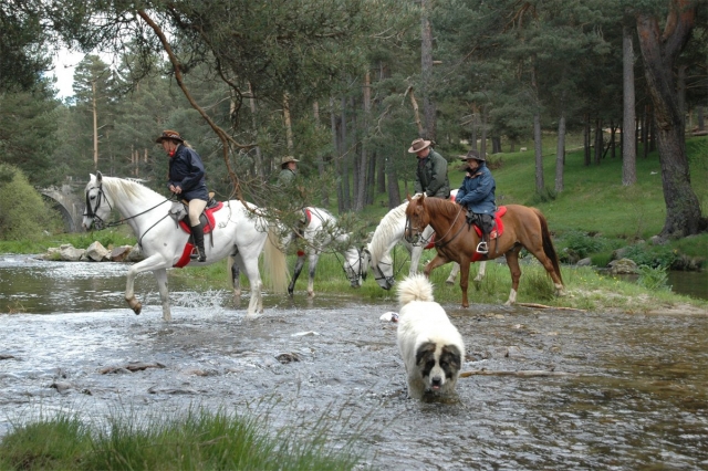 Dando una vuelta a caballo